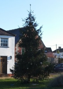 Semington Christmas Tree 2015